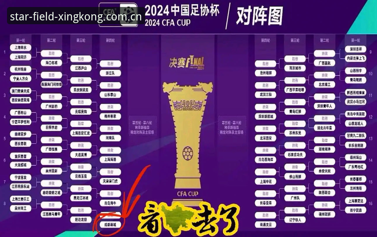 星空体育APP下载安装对比 中国足协第三批禁足名单公布后,如何通过星空体育平台追踪赛事数据变化?