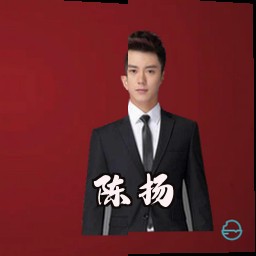 陈扬